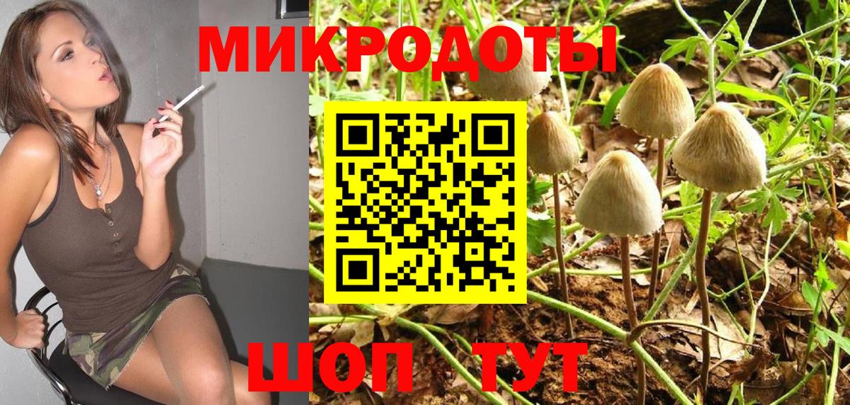 Галлюциногенные грибы Psilocybine cubensis  Вход с VPN  Шебекино 