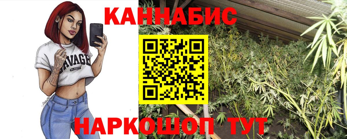 Шебекино  МАРИХУАНА VHQ  Конопля тримм  Конопля марихуана  Вход с VPN 